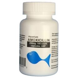 Aquarium Amoxicillin 250mg. 100 count. $23