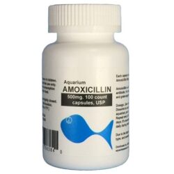 Aquarium Amoxicillin 500mg. 100 count. $27