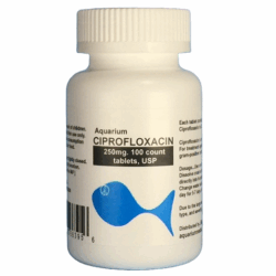 Aquarium Ciprofloxacin 250mg. 100 count. $42
