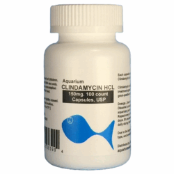 Aquarium Clindamycin 150mg. 100 count. $42