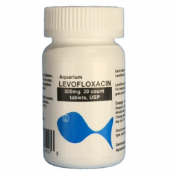 Aquarium Levofloxacin 500mg. 30 count. $19