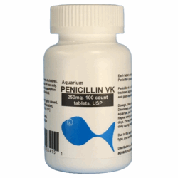 Aquarium Penicillin 250mg. 100 count. $32