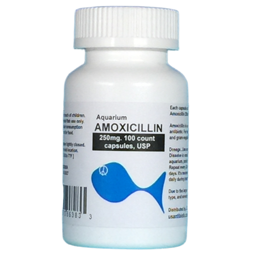 Aquarium Amoxicillin 250mg. 100 count. $24