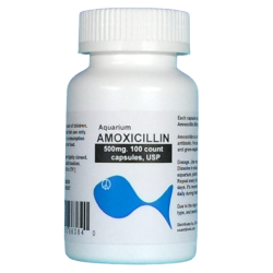Aquarium Amoxicillin 500mg. 100 count. $28