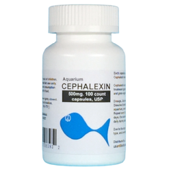 Aquarium Cephalexin 500mg. 100 count. $48