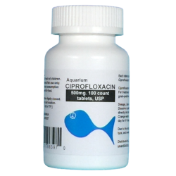 Aquarium Ciprofloxacin 500mg. 100 count. $58