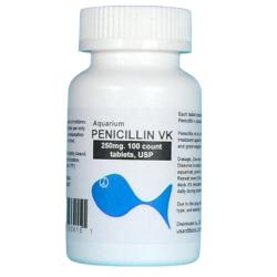 Aquarium Penicillin 250mg. 100 count. $33