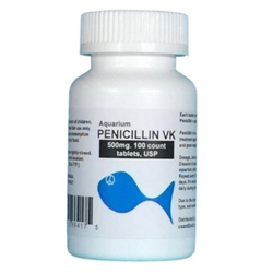Aquarium Penicillin 500mg. 100 count. $39