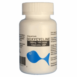 Aquarium Doxycycline 100mg. 100 count. capsule $33